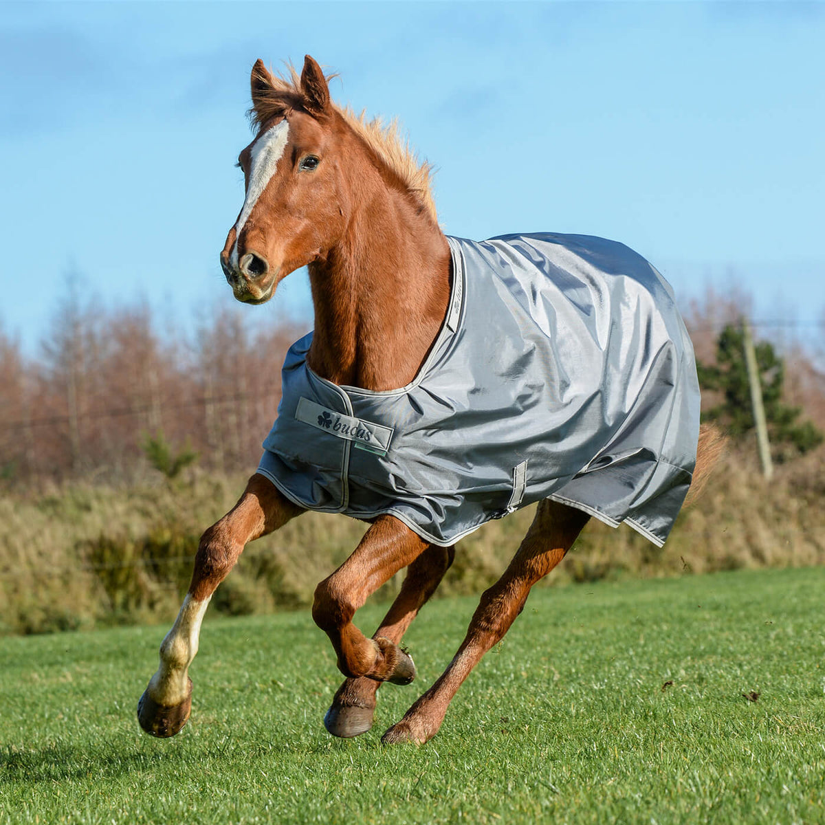 Outdoordecke 300g Smartex Turnout Extra Weidedecke