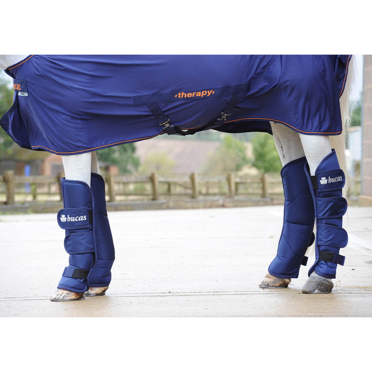 Bucas Transportgamaschen Boots 4-Set, Navy, am Pferd getragen.