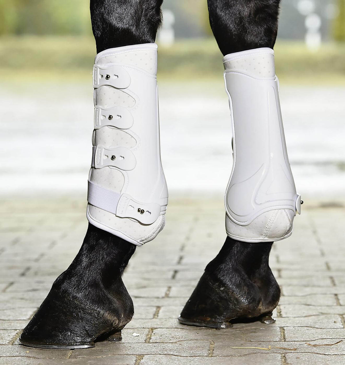 Gamaschen Dressage- Pro Beinschutz