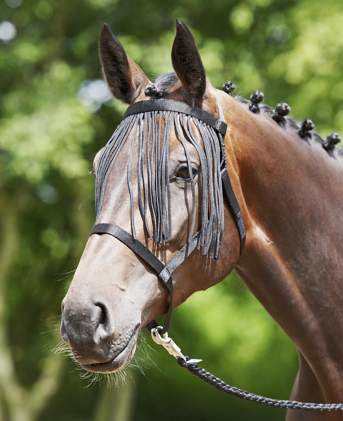 Halfter Weide- Fransen Stallhalfter