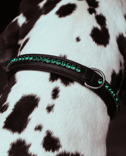 Hundehalsband Deep Olivine