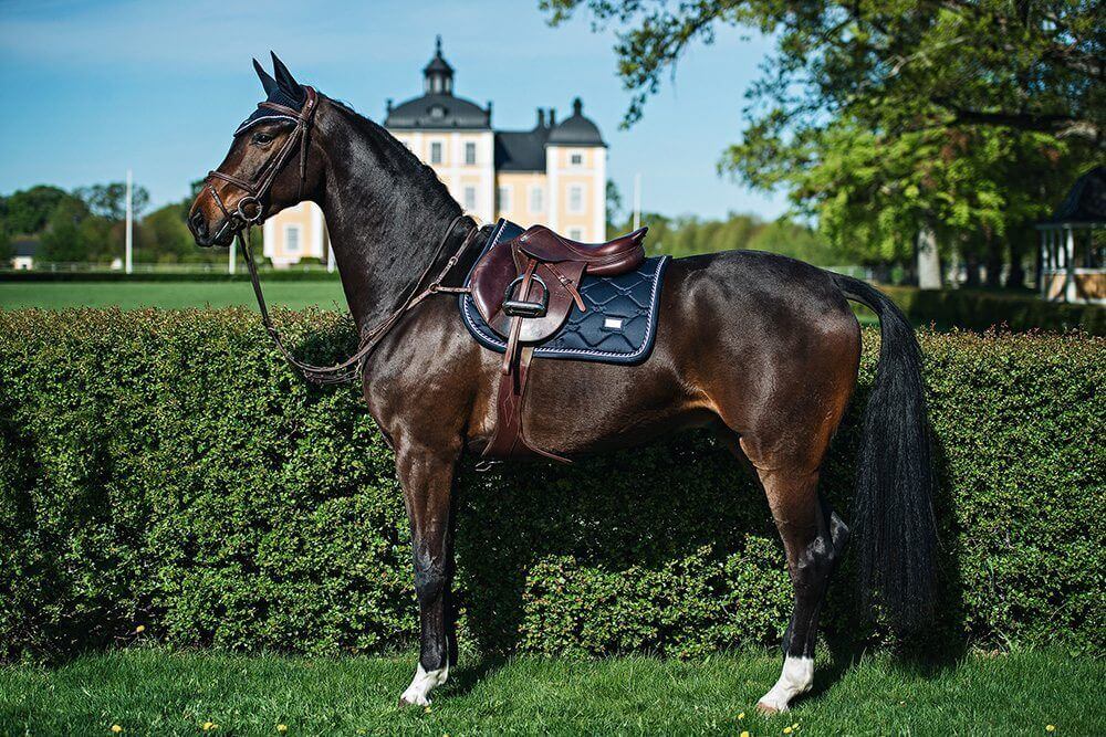 Springschabracke Midnight Blue, Equestrian Stockholm, Navy, Pferd mit Schabracke im Freien.