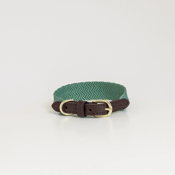 Kentucky Dogwear Hundehalsband Jacquard, Olivgrün, Produkt allein auf weißem Hintergrund.