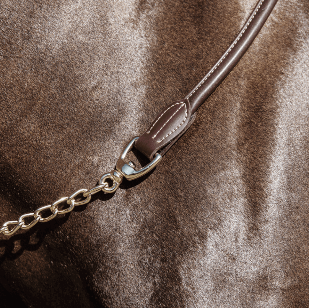 Kentucky Horsewear Führkette Leather Chain Lederleine, Schwarz, Detailaufnahme am Pferd.