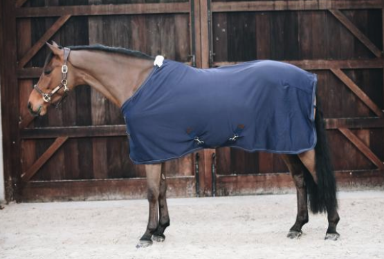 Abschwitzdecke Fleece, Schwarz, Pferd trägt die Decke im Stall.