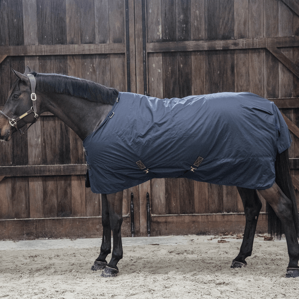 Kentucky Horsewear Outdoordecke 0g All Weather Hurricane Regendecke, Navy, Pferd trägt die Decke im Stall.