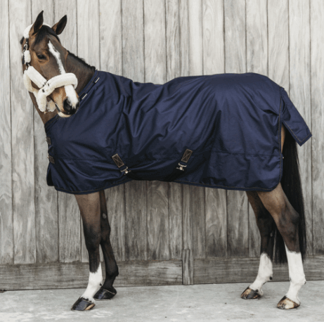 Kentucky Horsewear Outdoordecke 0g All Weather Waterproof Pro Regendecke, Marine, Pferd trägt die Decke.