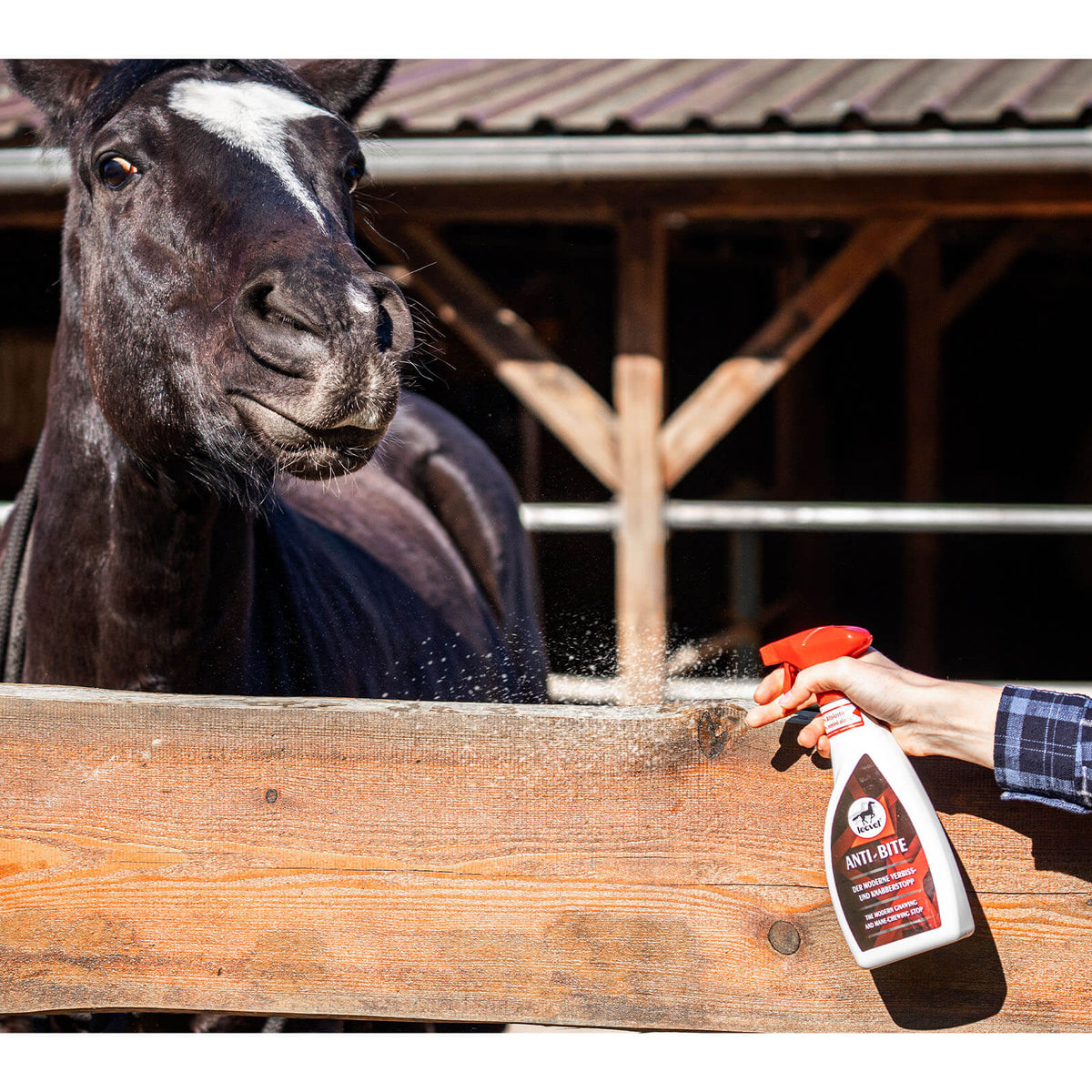 leovet Knabberstopp Anti-Bite, Pferd an der Box mit eingesprühtem Zaun.
