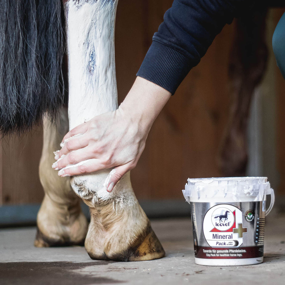 leovet Mineralpack plus Arnika Tonerde für Pferdebeine, Detailaufnahme am Pferdebein mit Hand und Produktdose.