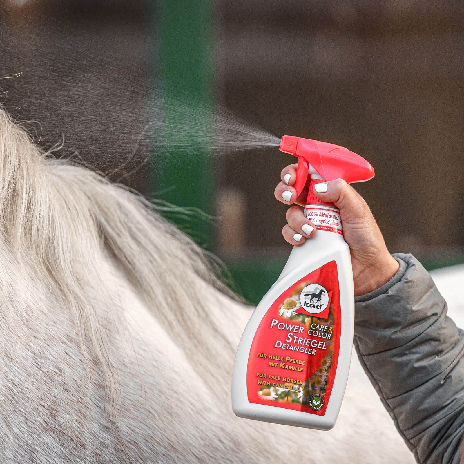 Schweifspray Power Striegel Kamille Mähnenspray