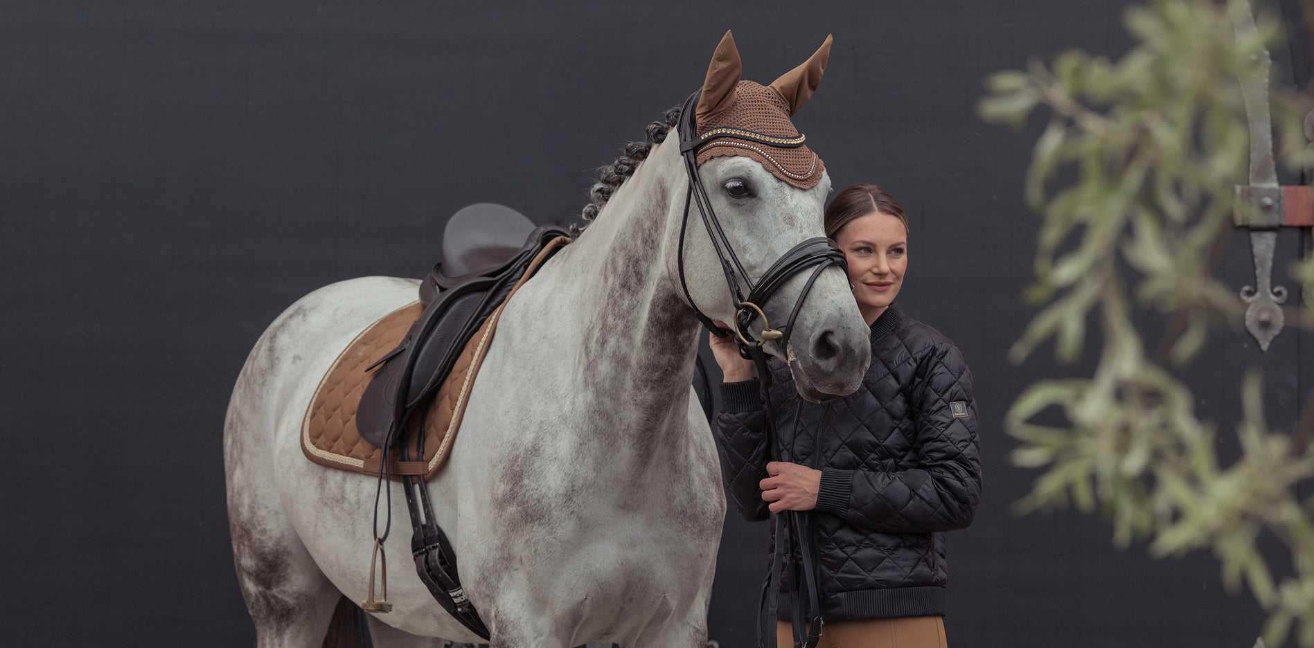 Reiterin neben grauem Pferd mit braunem Stirnnetz und schwarzer Trense.