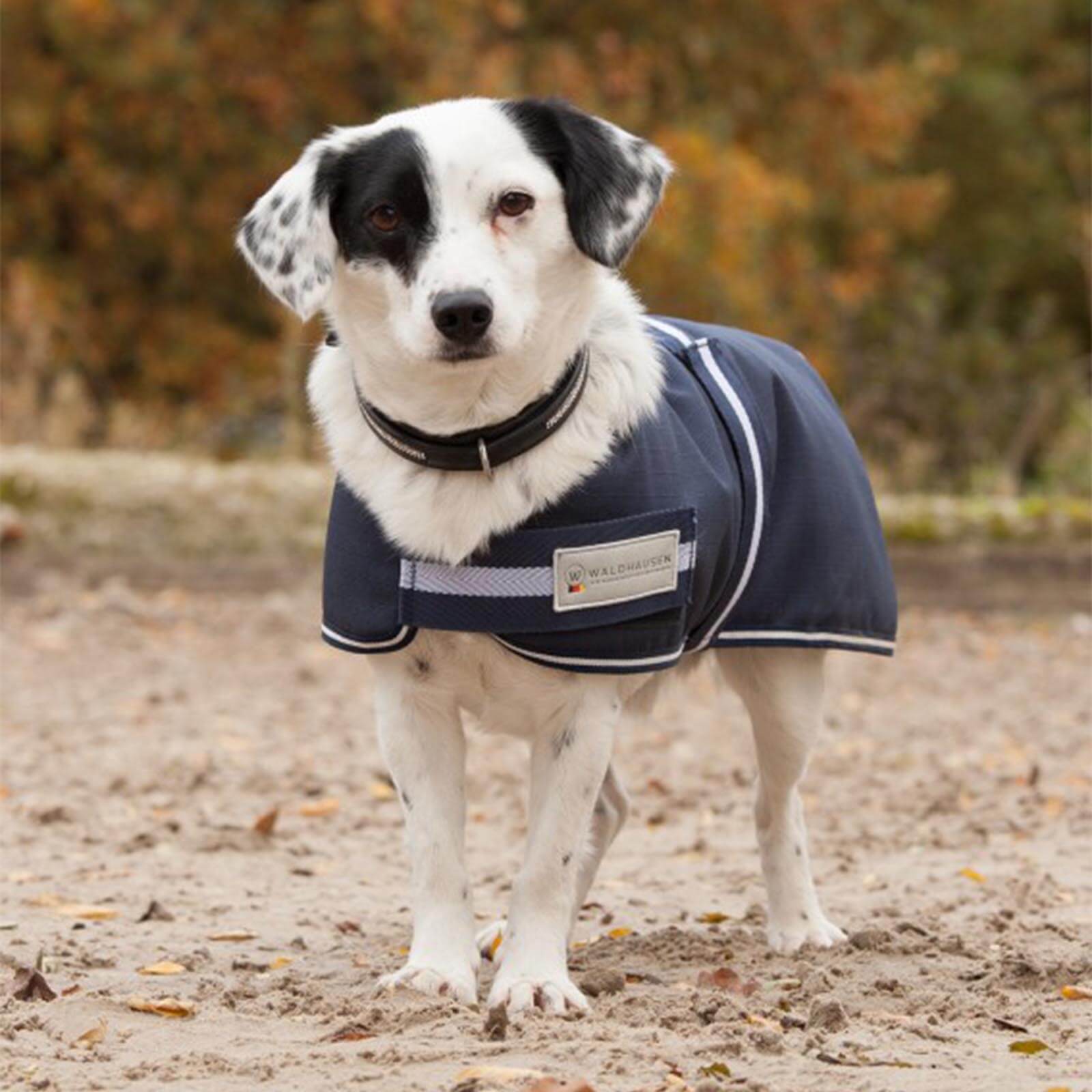 Hundedecke 200g Comfort Line