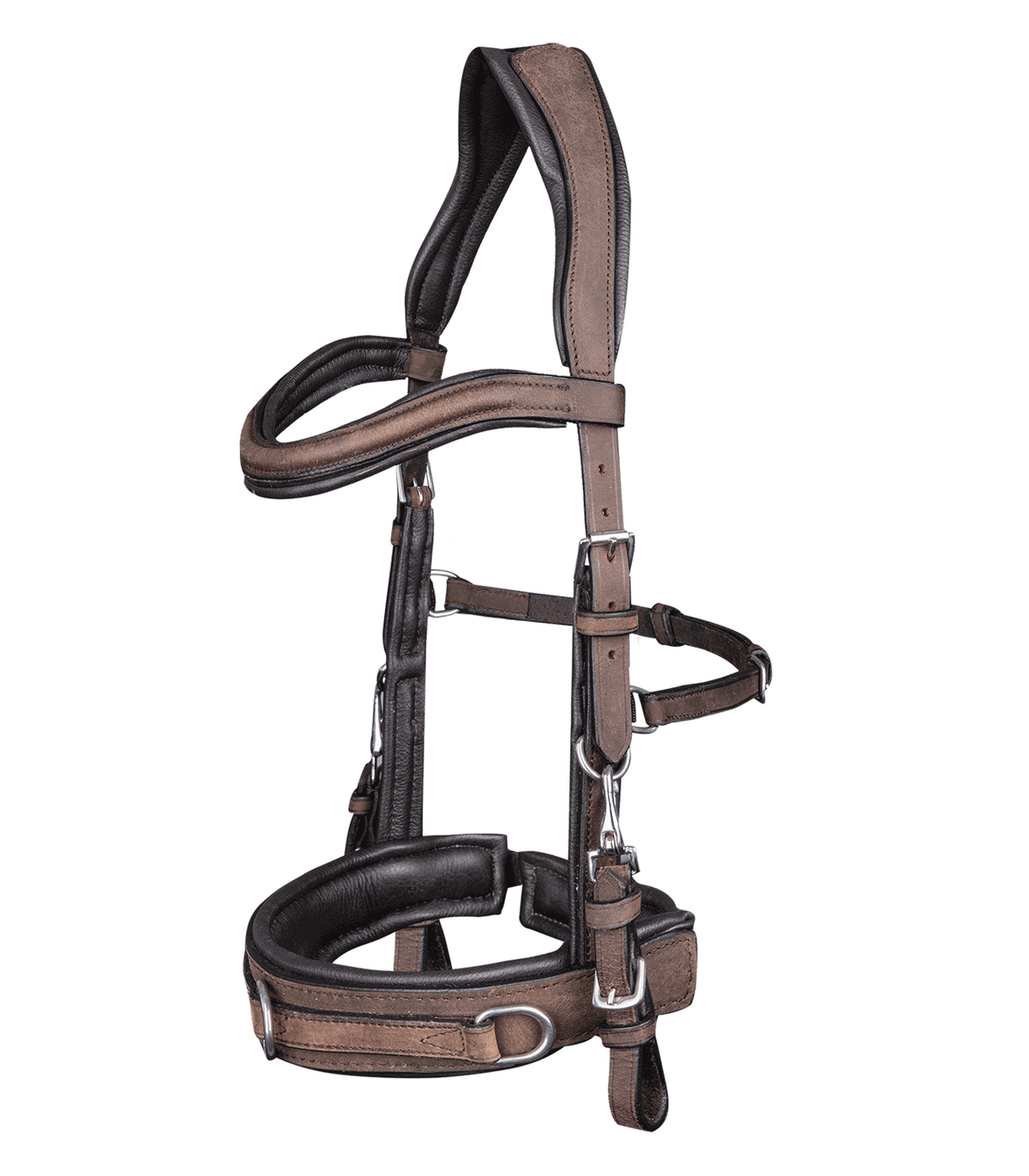 Lederkappzaum Anatomic