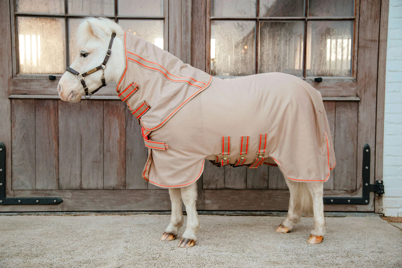 Weißes Pony mit beige-oranger Decke vor Stalltür, Neuheiten von Kentucky Horsewear – Must-haves für dich & dein Pferd.