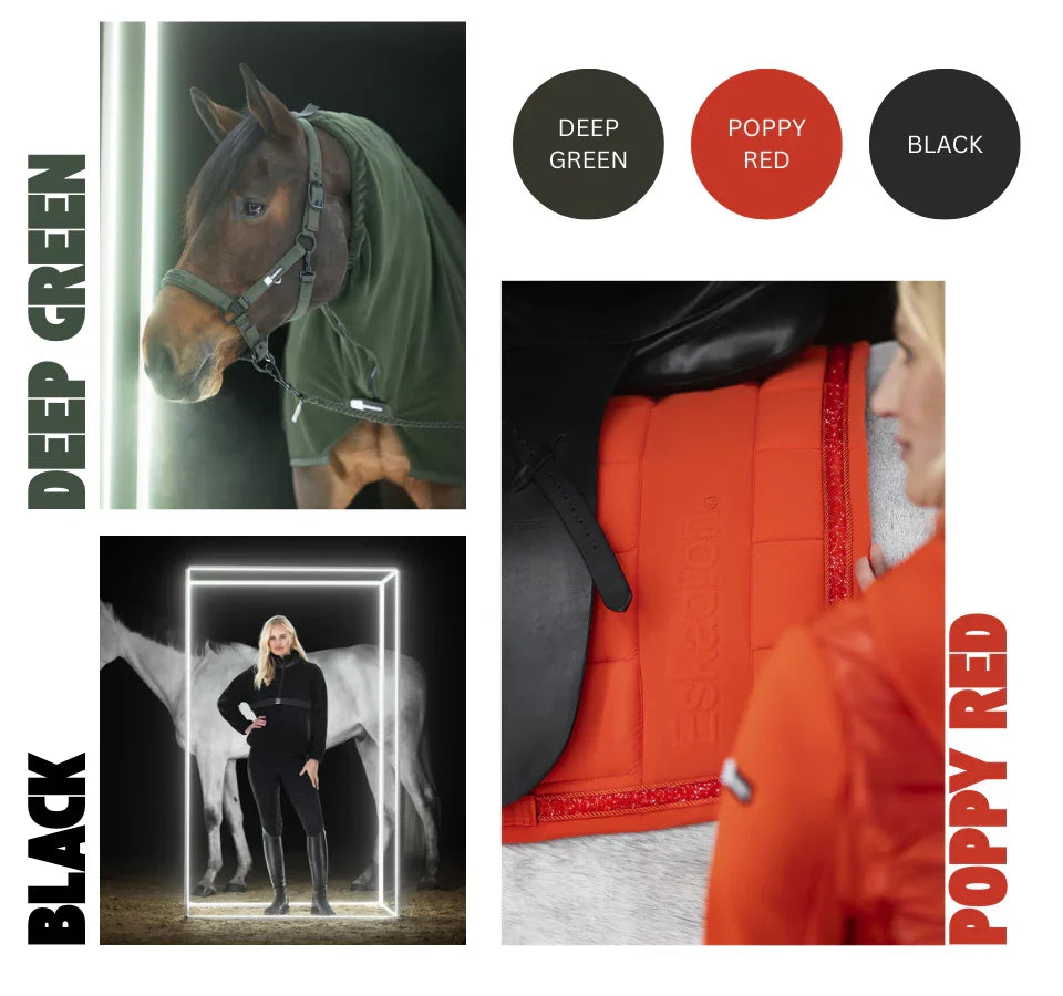 Pferd mit Decke in Deep Green, Eskadron-Pad in Poppy Red und Black, Eskadron Dynamic 2025.