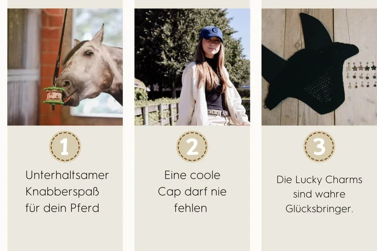 Pferd frisst Leckerli, Reiterin mit Cap und schwarze Fliegenhaube, Adventskalender für Pferd und Reiter.
