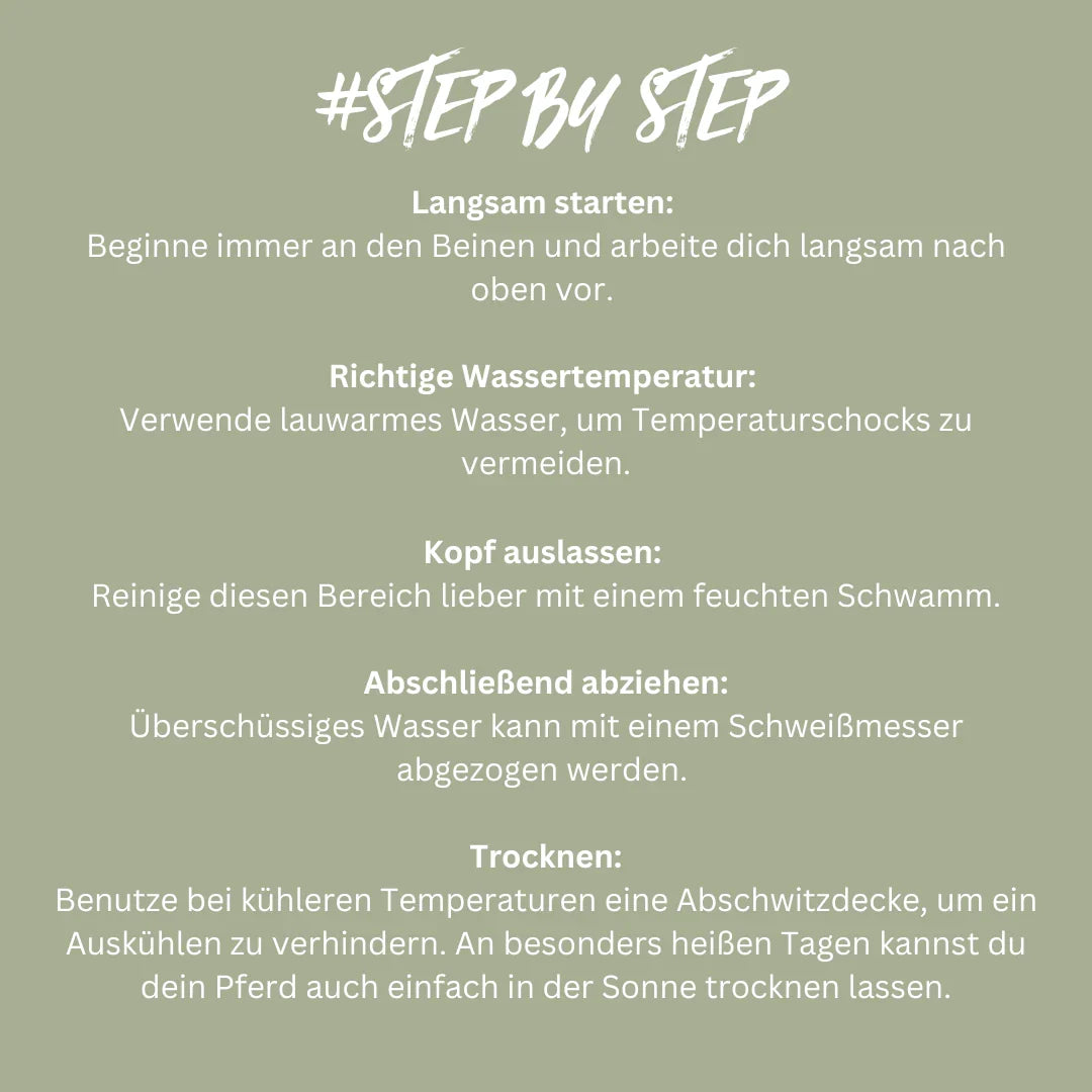 Infografik mit Schritt-für-Schritt-Hinweisen: Langsam starten, lauwarmes Wasser, Kopf auslassen.