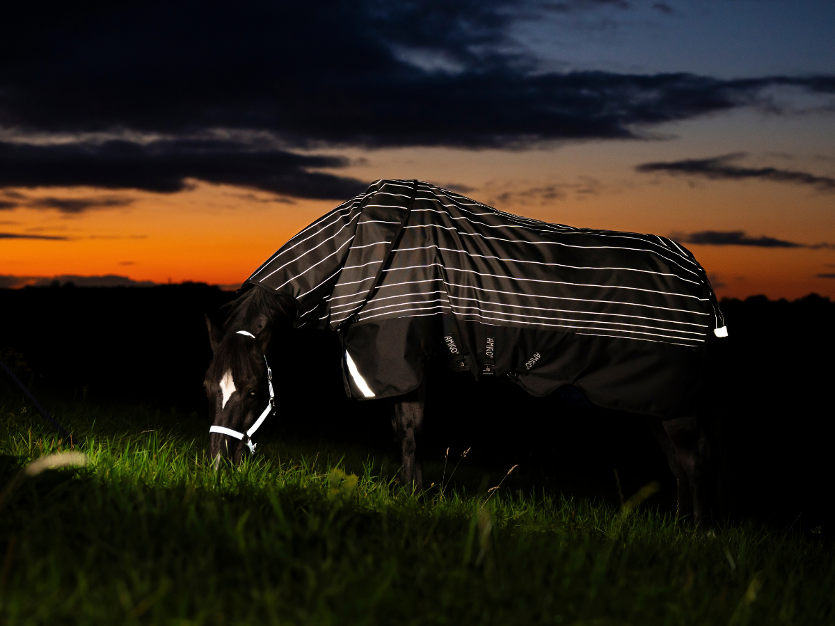Reiten in der Dämmerung und Dunkelheit: Sicherheit & Vorbereitung