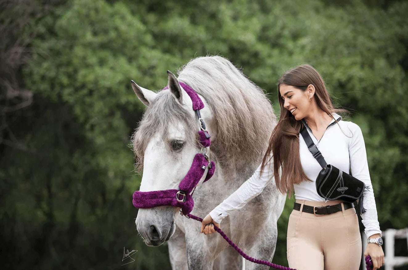 Junge Frau führt graues Pferd mit violettem Halfter, One Day in Mannheim: kavalio bei der Equitana Open Air 2022.