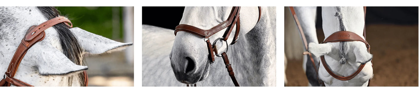 Pferd mit braunem Zaumzeug mit abnehmbarem Reithalfter, Take Off Line by Busse.