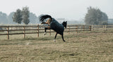 Pferd im Galopp auf einer Koppel mit Decke, Wie du dein Pferd richtig anweidest.