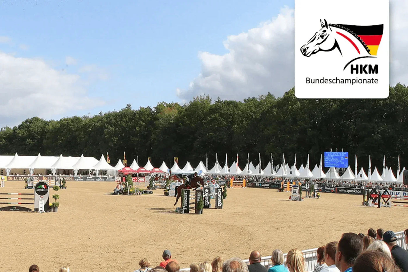 Springpferd springt über ein Hindernis auf dem Turnierplatz in Warendorf, Deutschlands Top-Nachwuchspferde auf dem Weg zum Champion : Die HKM Bundeschampionate 2022 in Warendorf.