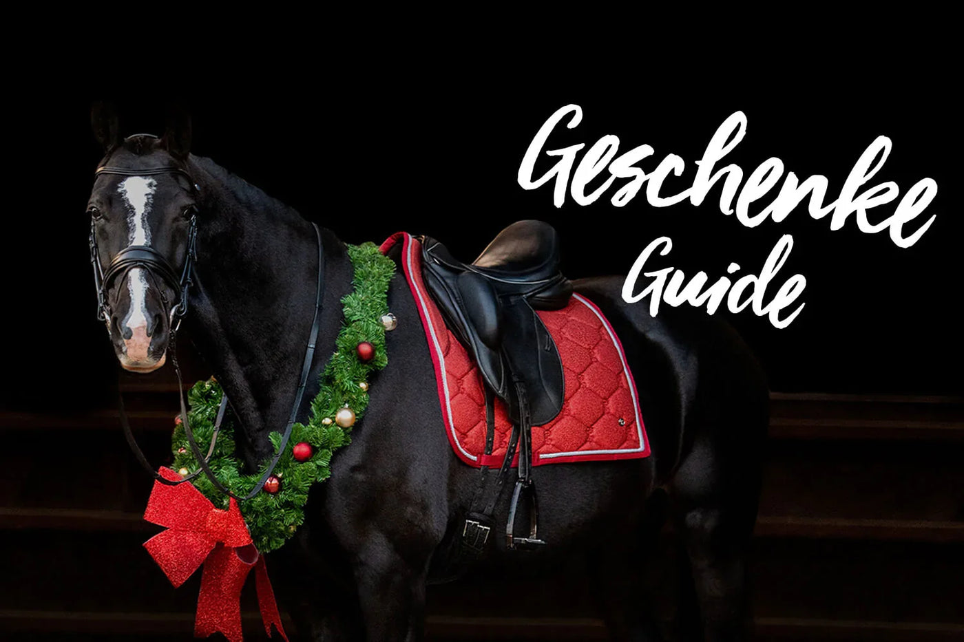 Schwarzes Pferd mit roter Schabracke und Weihnachtskranz, All I want for Christmas.... - Der kavalio Geschenke-Guide