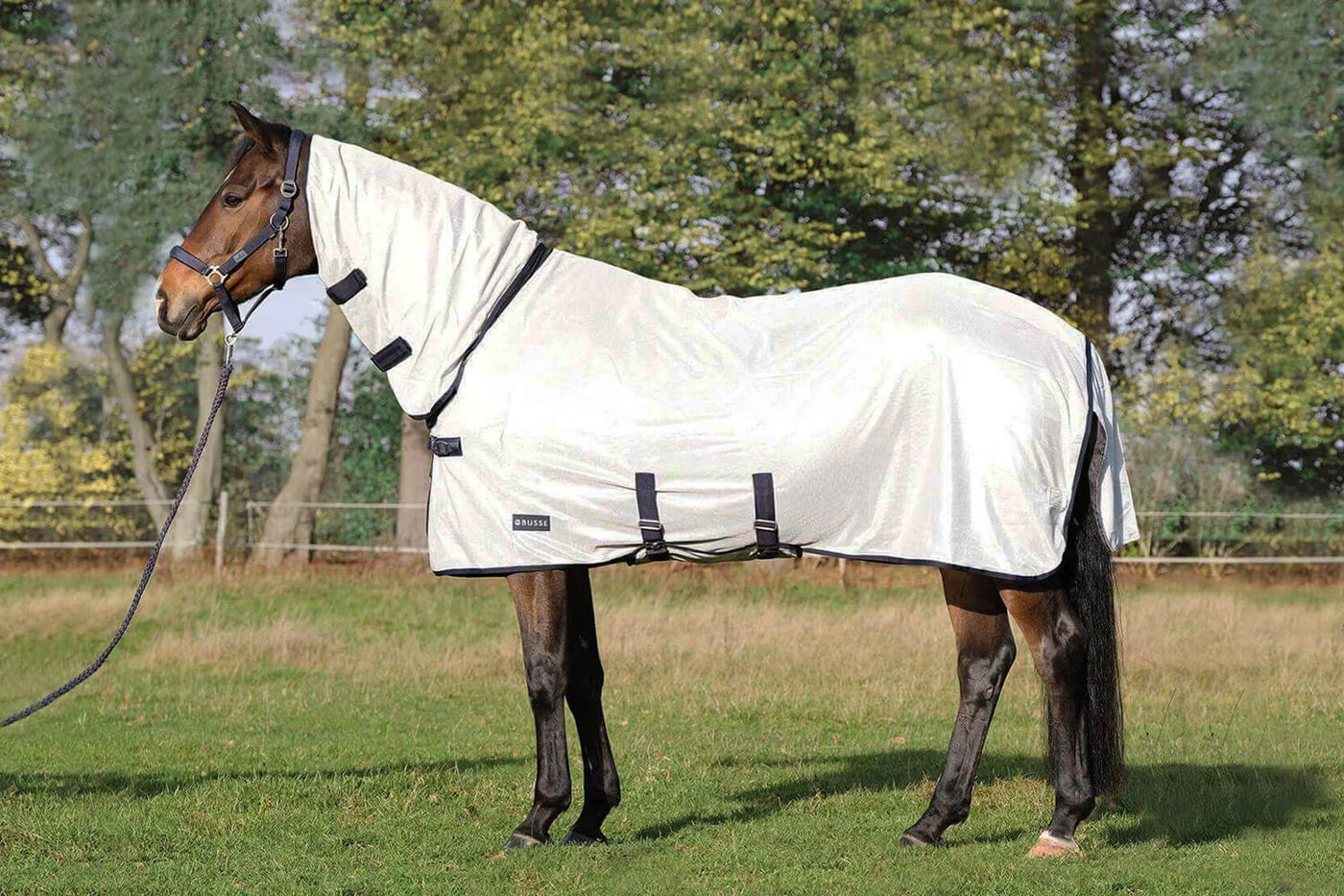 Pferd auf der Weide mit weißer Fliegendecke und Halfter, Fight the Flies mit BUSSE Reitsport.