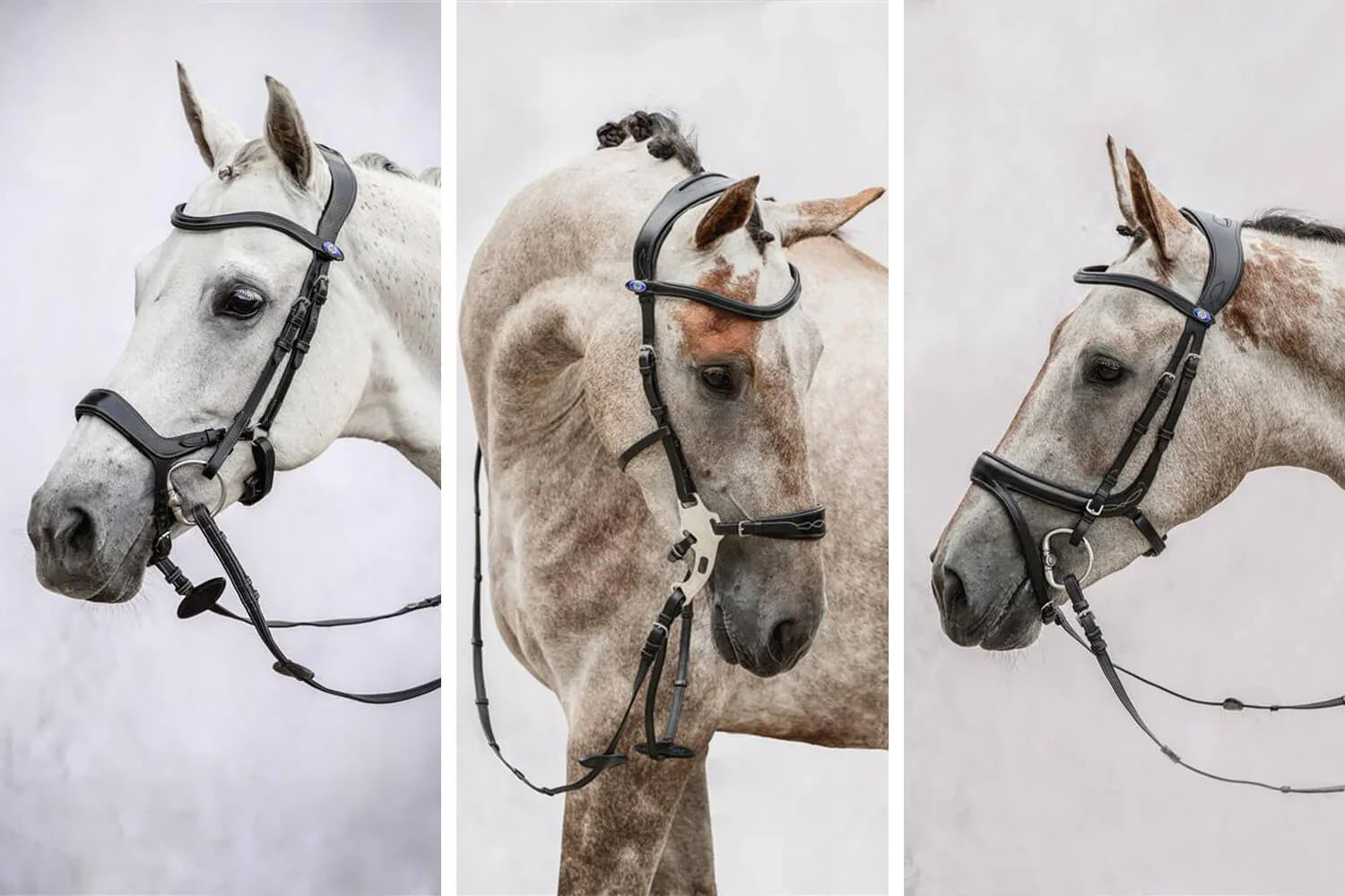 Drei Pferde mit verschiedenen Trensen, PS OF SWEDEN „PIONEER“, „JUMP OFF“ UND „HACKAMORE SPORT“– VERSCHIEDENE TRENSEN IM VERGLEICH.