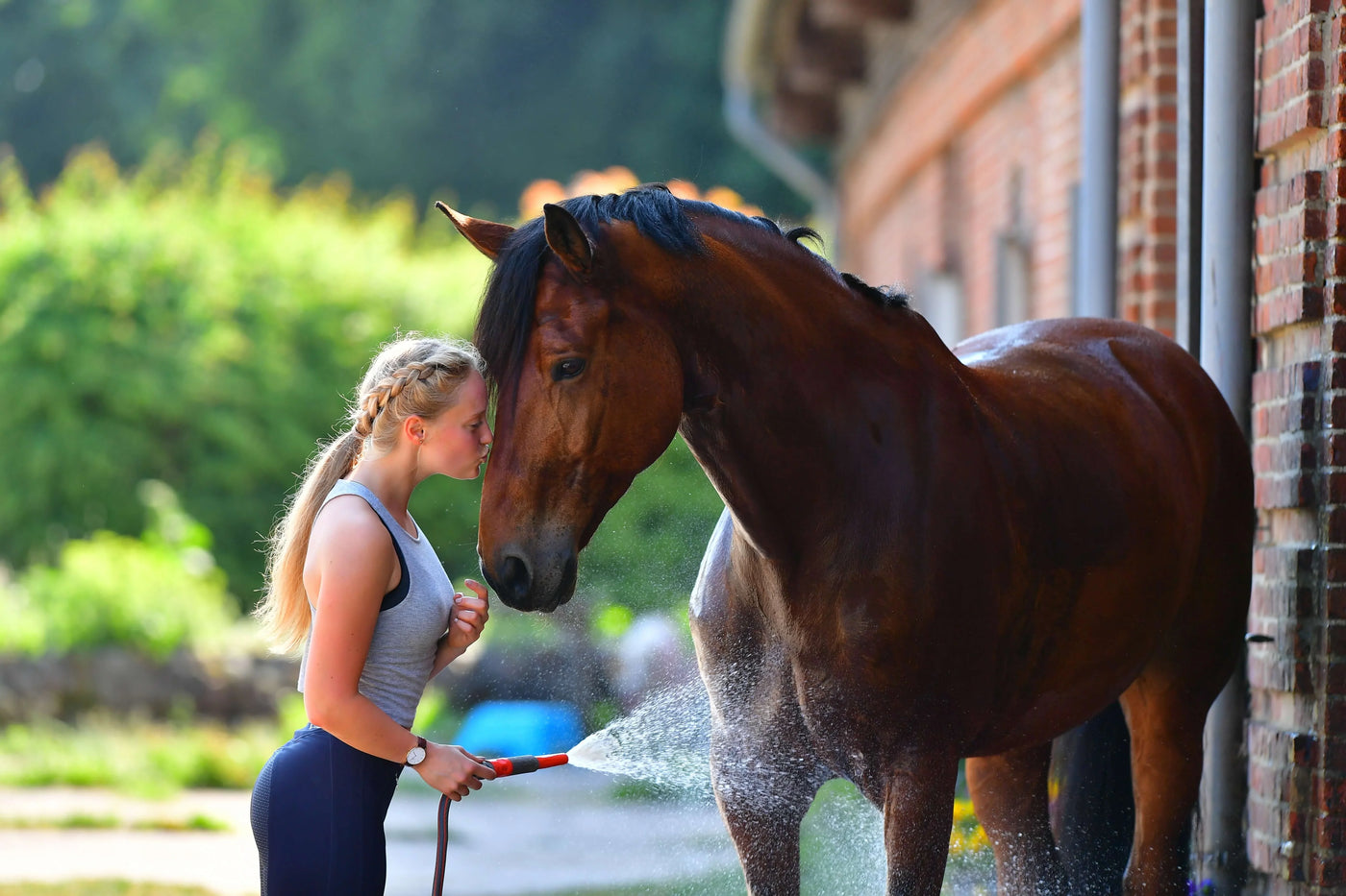 Junge reitet ein braunes Pferd und hält es am Stall mit Wasser ab, Welches Pferd passt zu mir? Unsere liebsten Pferderassen, die du unbedingt kennen solltest!
