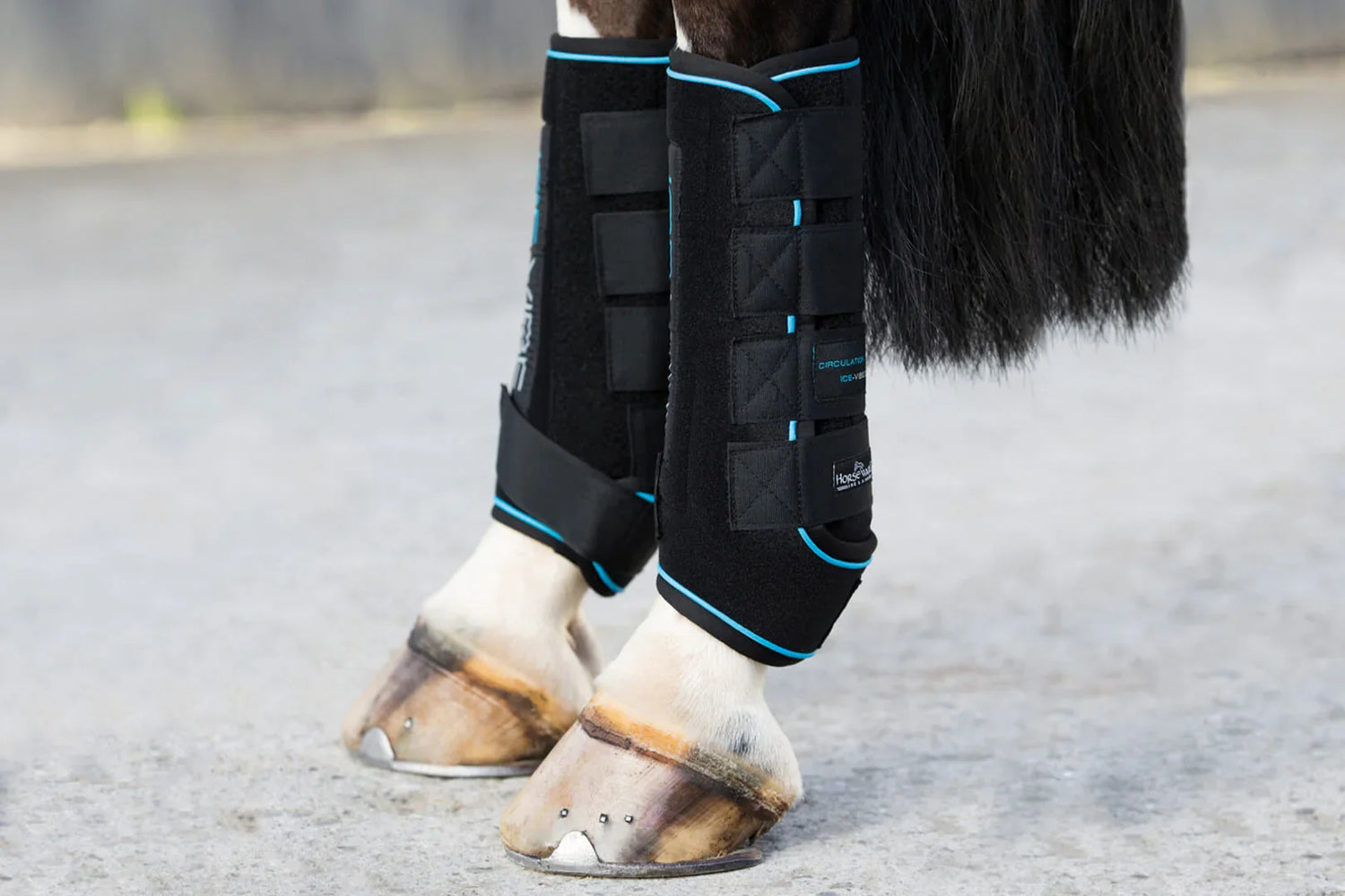 Pferdebeine mit schwarzen Horseware-Gamaschen, ICE VIBE Boots von Horseware im Langzeit-Test
