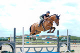 Reiterin springt mit braunem Pferd über ein Hindernis, Die #KAVALIOCANTERCHALLENGE – mit Stangenarbeit zum richtigen Rhythmus und Gleichmaß im Galopp.