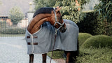 Pferd mit Abschwitzdecke steht an einem Herbstabend auf dem Hof