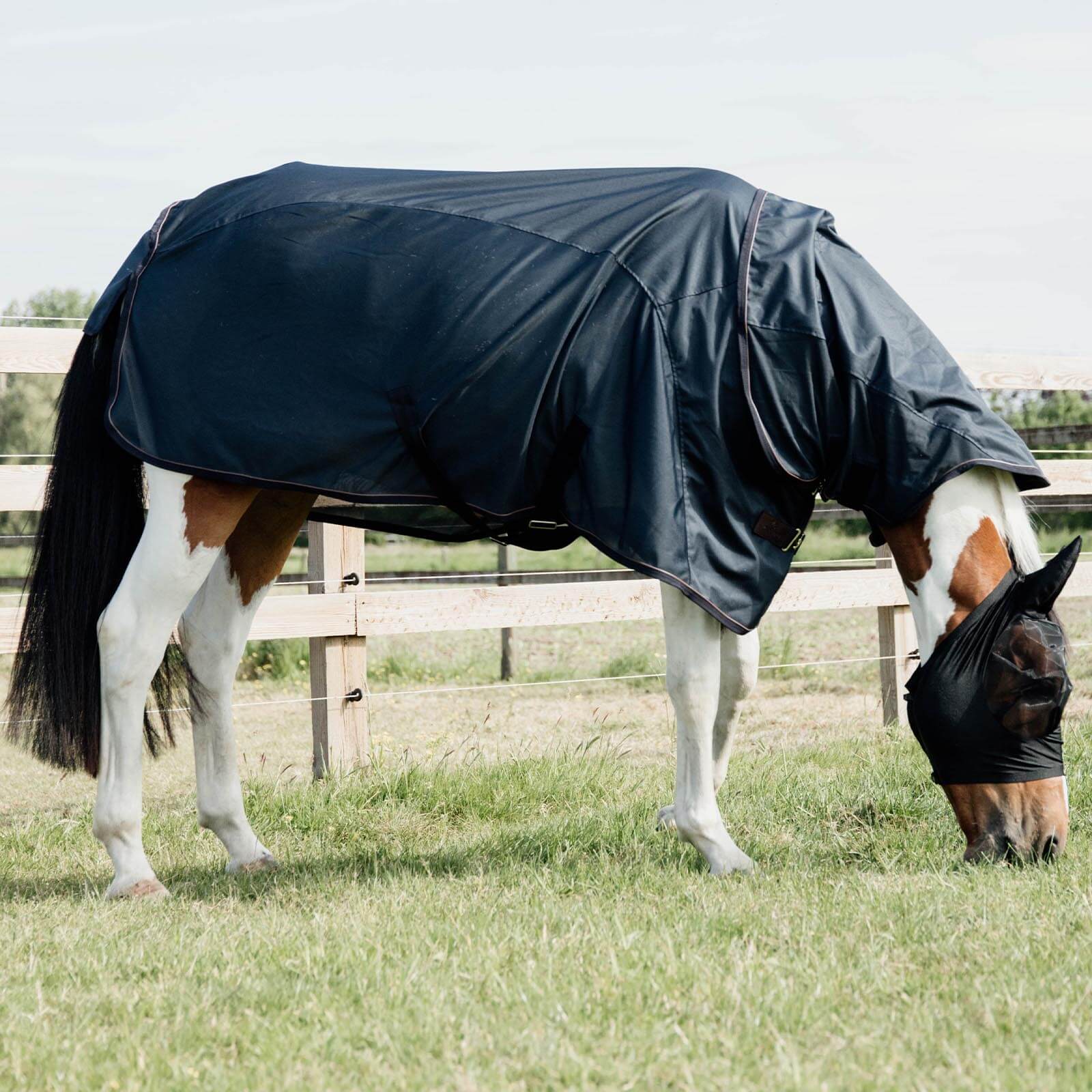 Fliegendecke Regendecke Waterproof Combo Classic