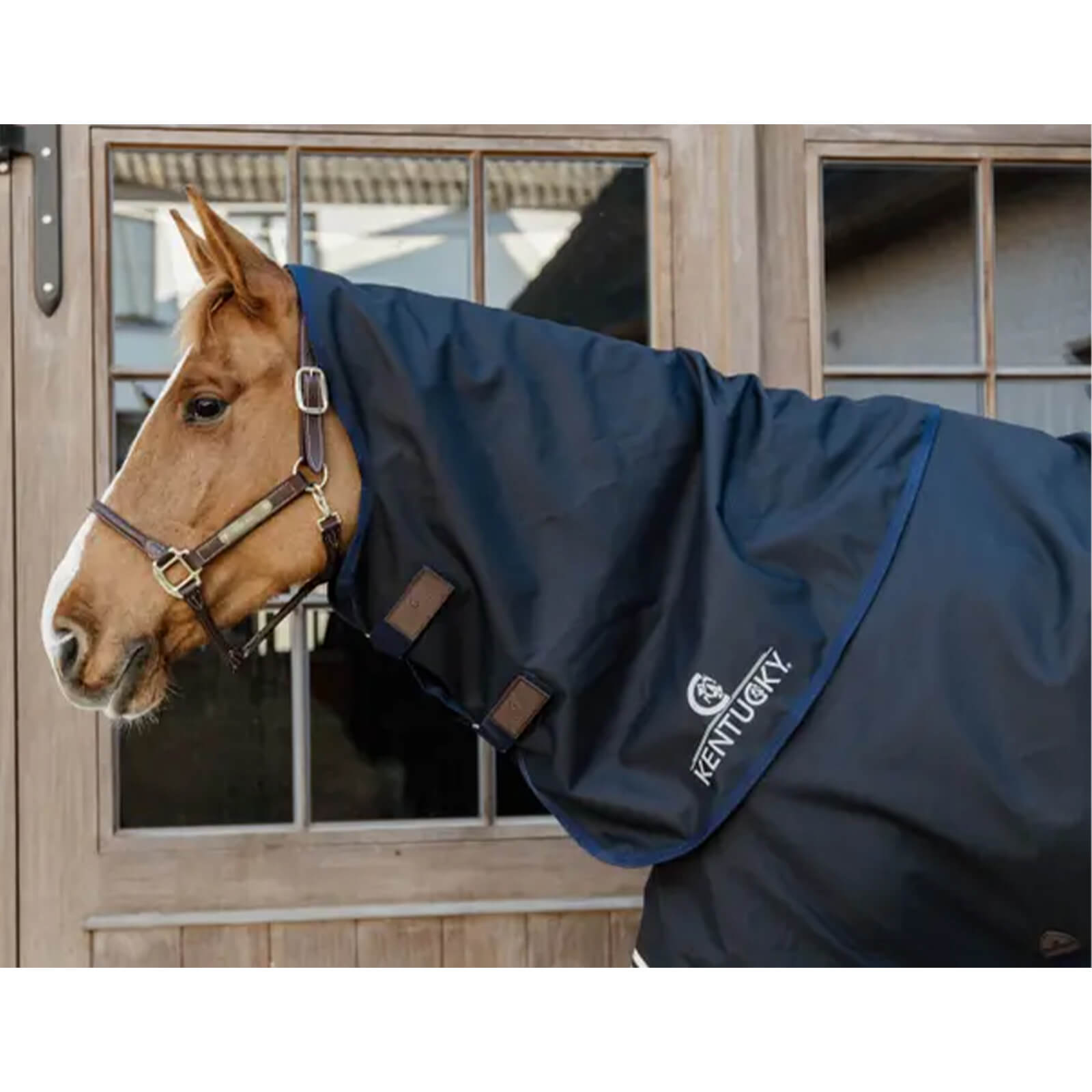 Halsteil 100g All Weather Comfort Wasserdicht