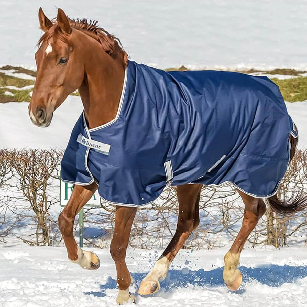 Outdoordecke 0g Freedom Turnout Light High Neck Regendecke
