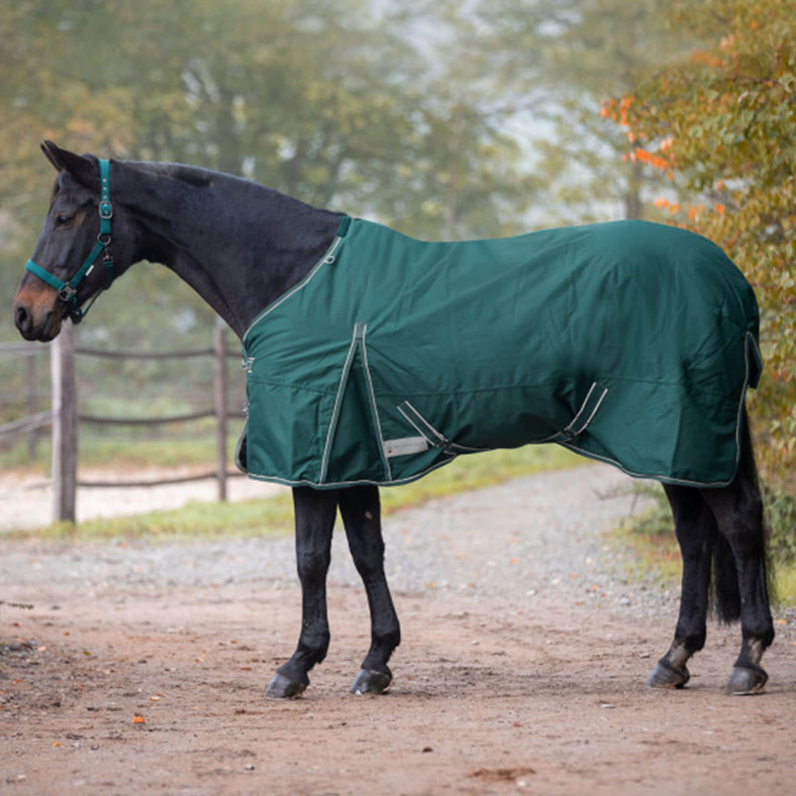 Outdoordecke 0g Economic Light Regendecke