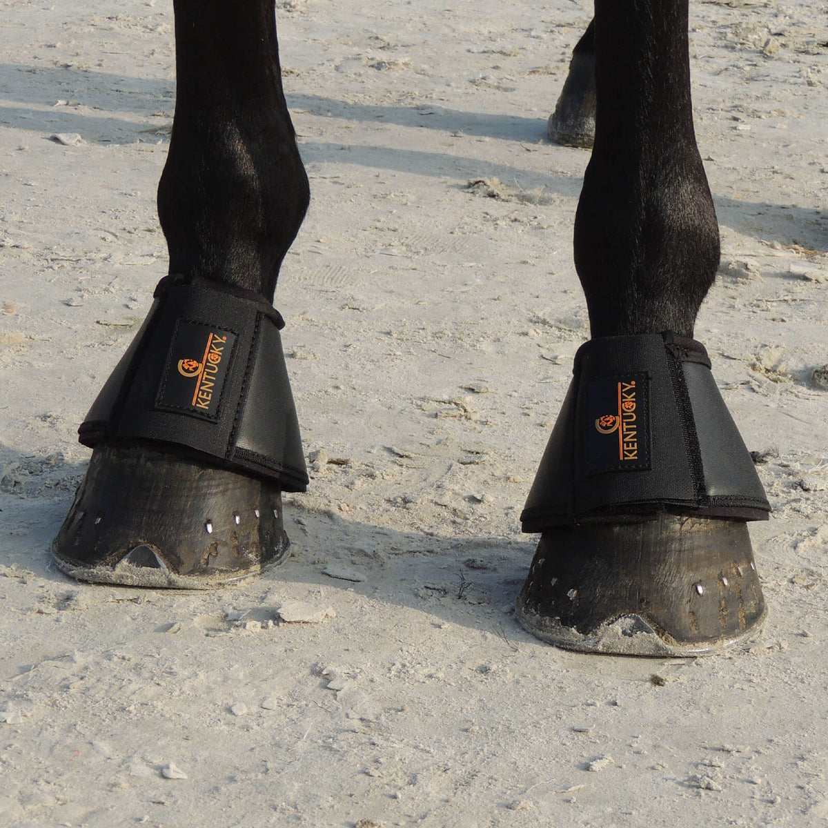 Hufglocken Leder Sprungglocken