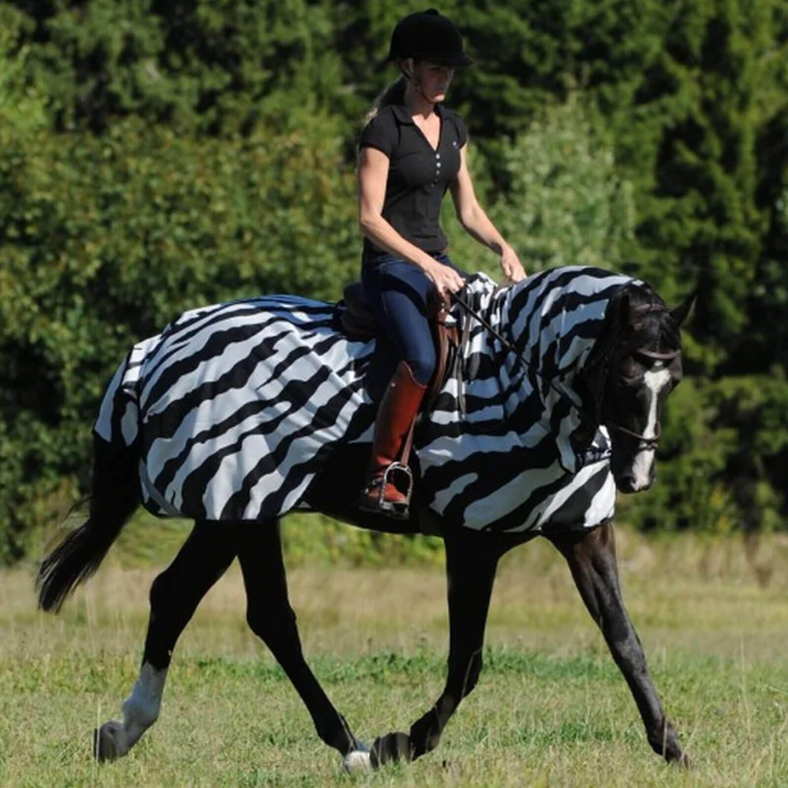 Fliegen Ausreitdecke Buzz-Off Riding Zebra