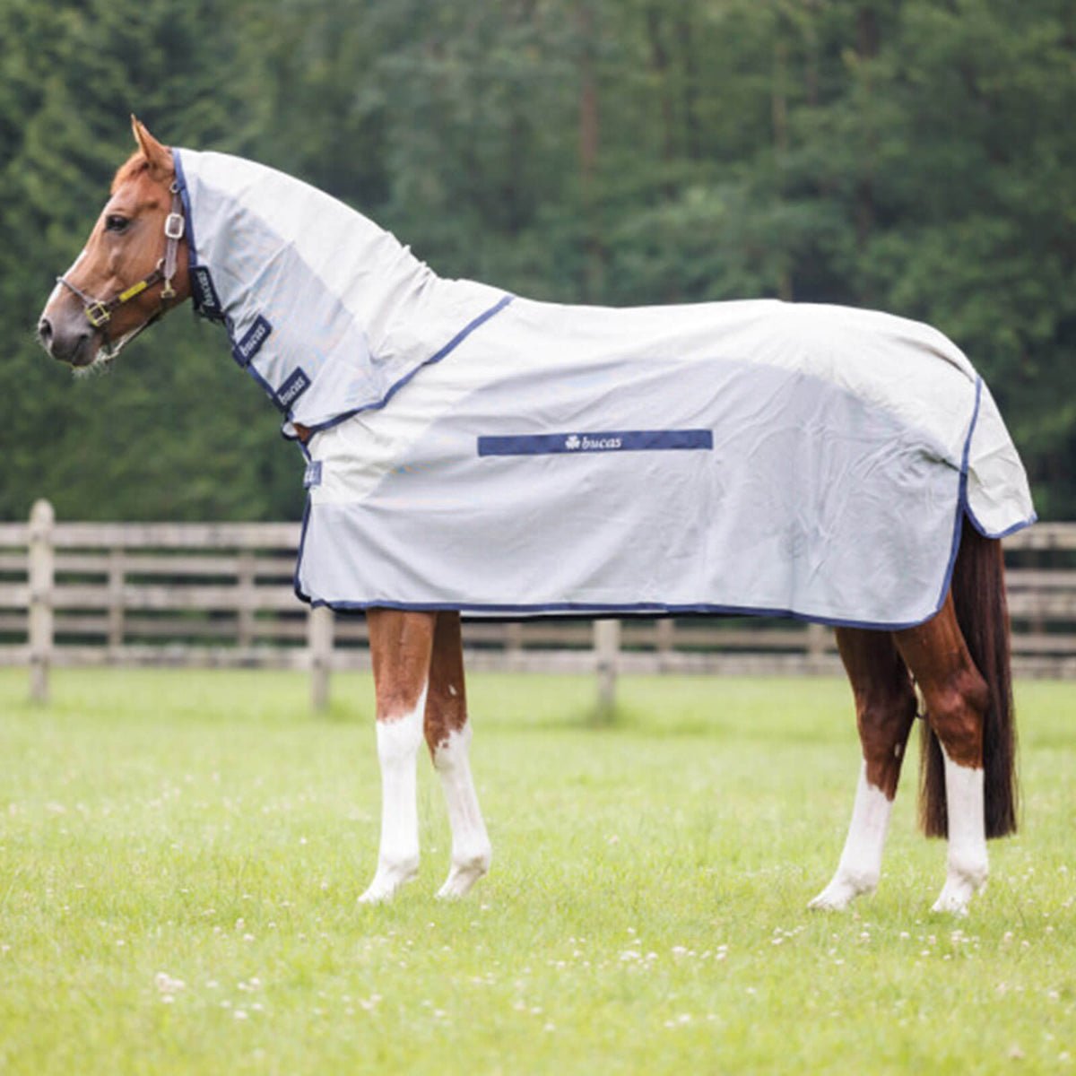 Regen-/Fliegendecke Buzz-off Rain & Neck mit Halsteil