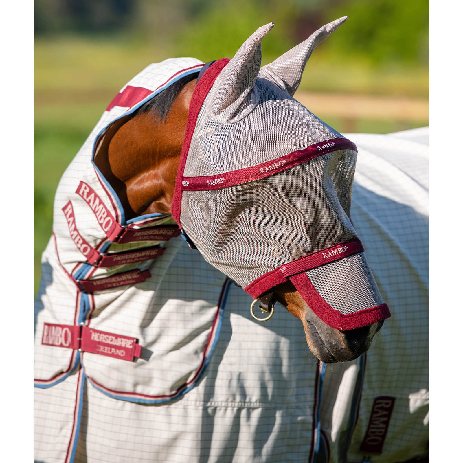 Fliegenmaske Rambo Flymask Plus