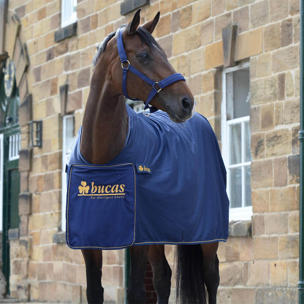 Abschwitzdecke Panel Prize Cooler