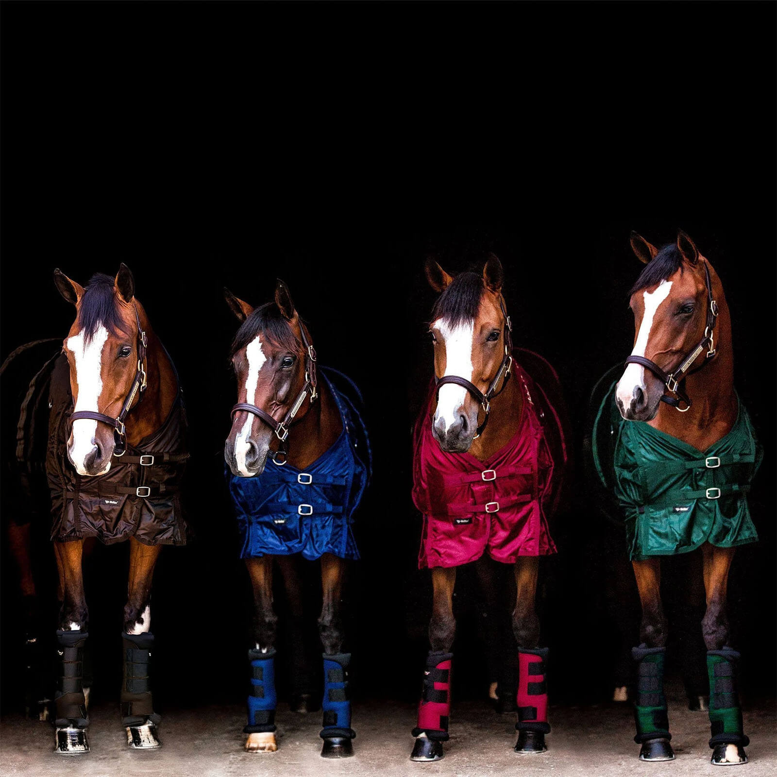 Stallgamaschen Royal