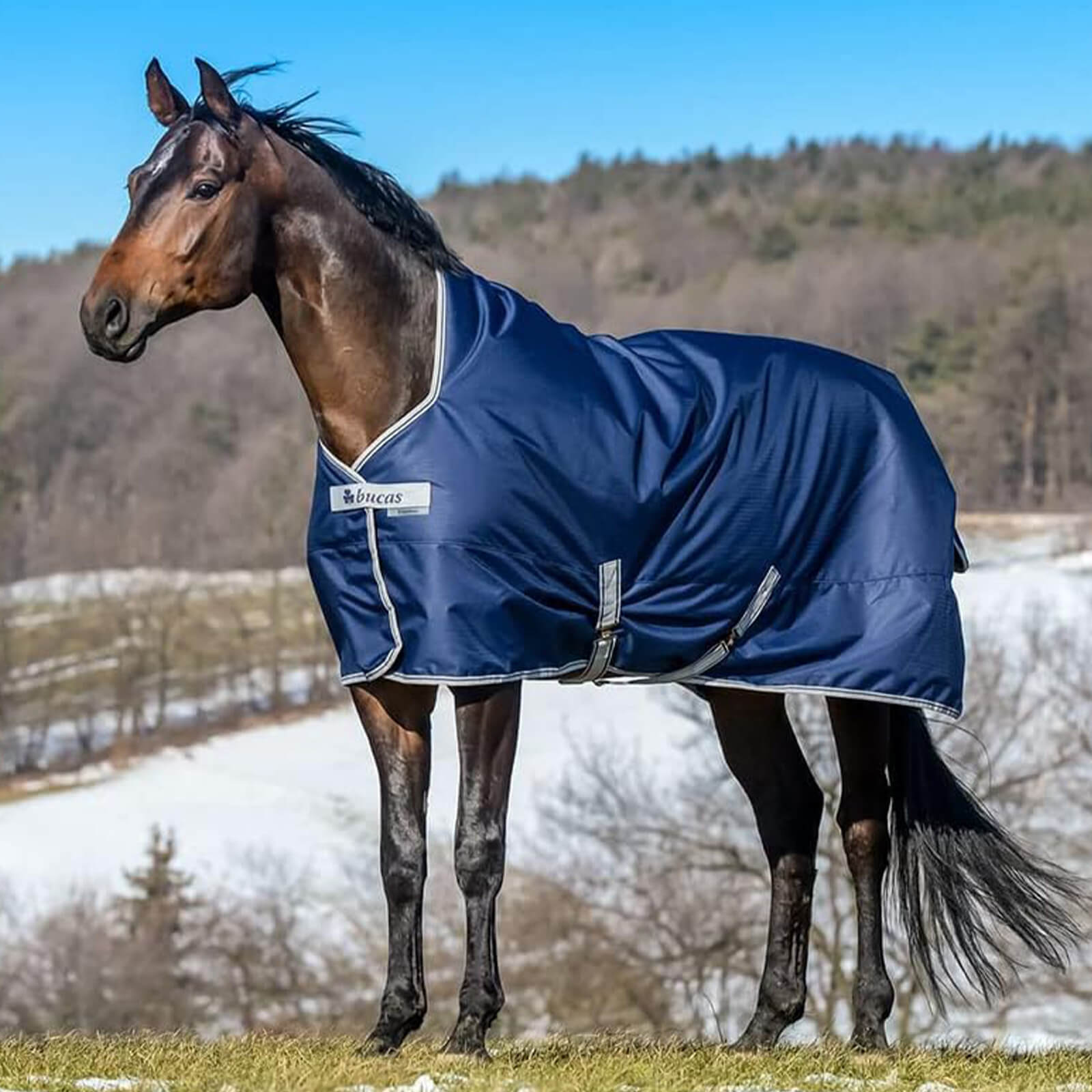 Outdoordecke 0g Freedom Turnout Light High Neck Regendecke
