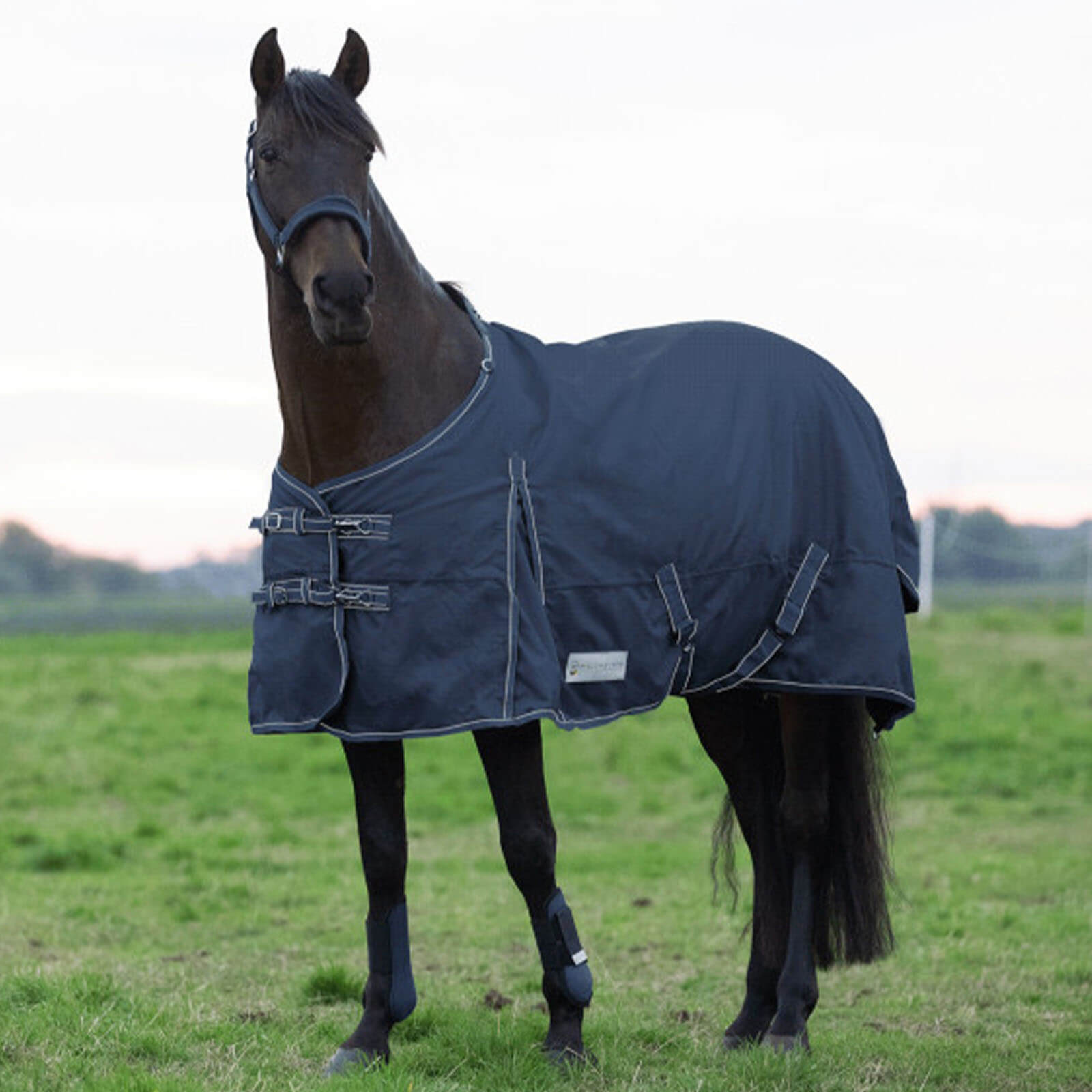 Outdoordecke 0g Economic Light Regendecke