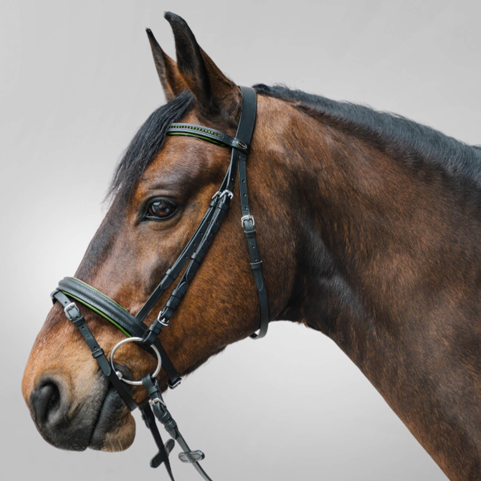 Trensenzaum Star Diamond