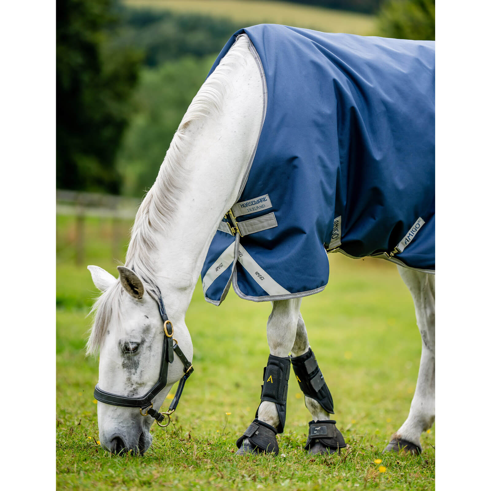 Outdoordecke 50g Amigo Bravo 12 Turn Out Weidedecke