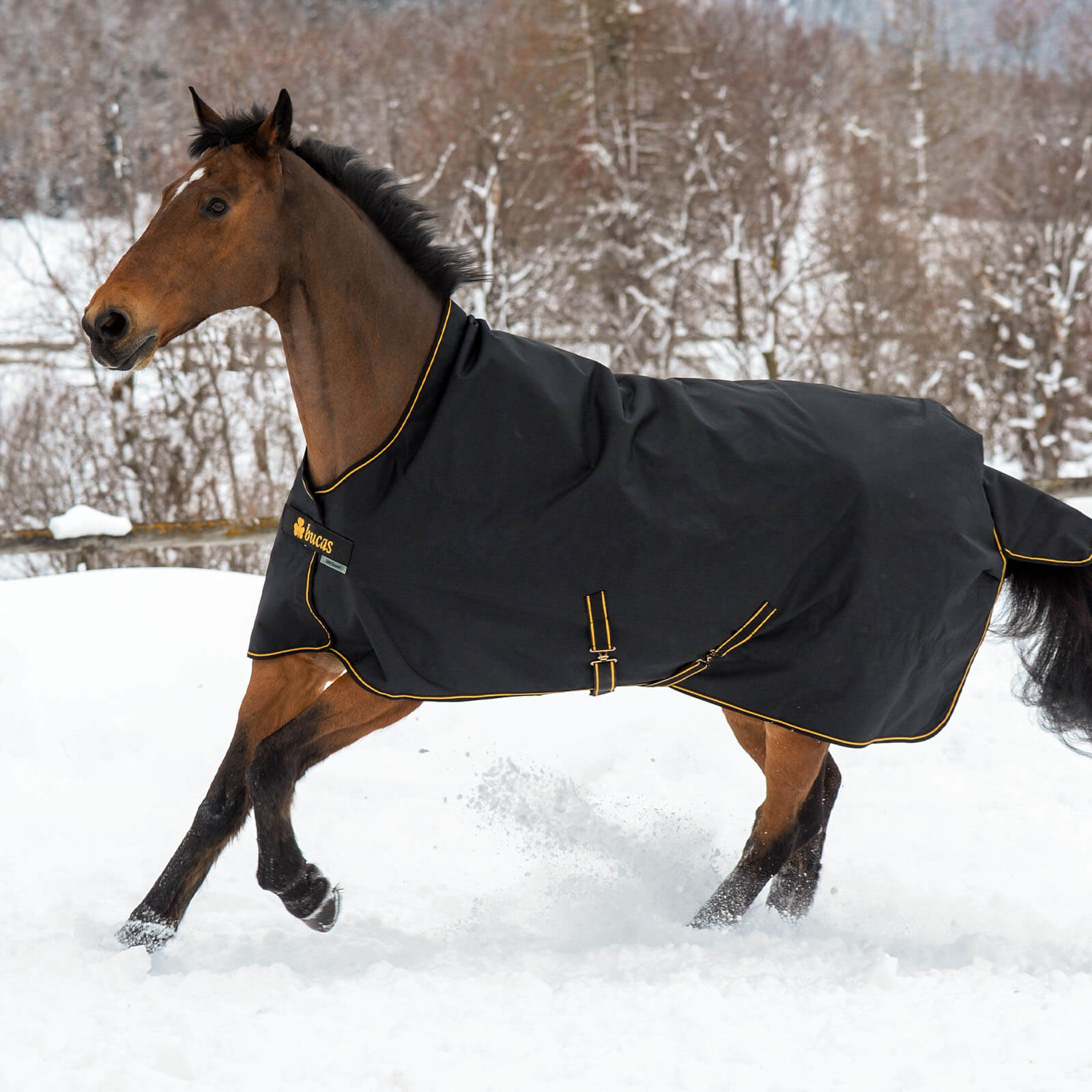 Outdoordecke 300g Irish Turnout High Neck Weidedecke