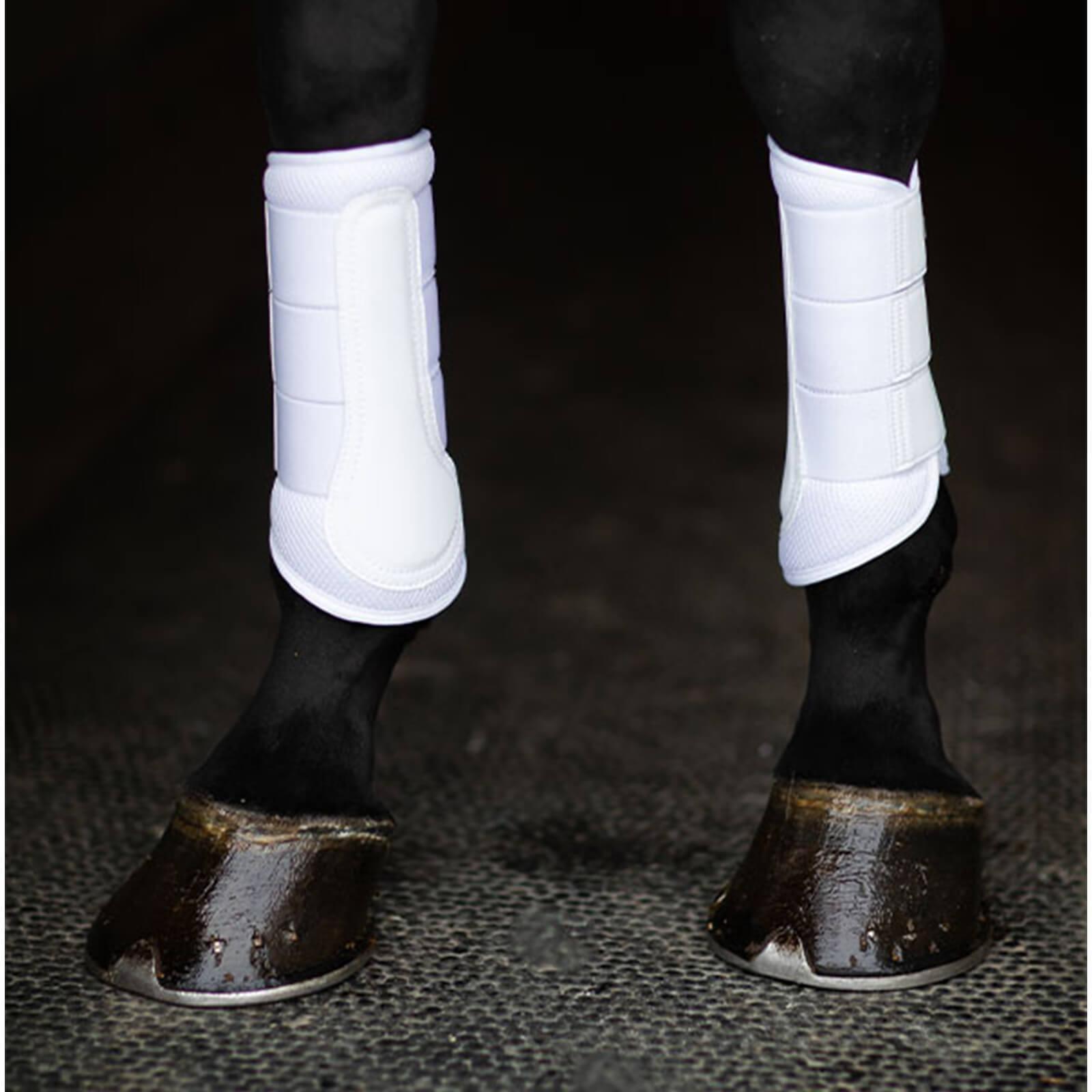Gamaschen Classic Mesh Boots White Silver Dressurgamaschen