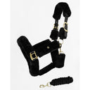 Black/Gold